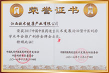 2017年中医刮痧学术年会推广刮痧 金牌企业奖